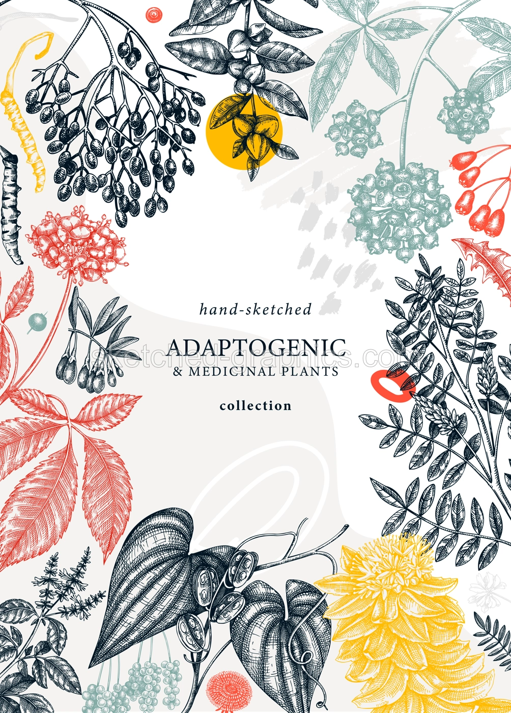 Botanical collage style design with hand-sketched adaptogenic and medicinal  herbs, weeds, berries, leaves. Adaptogenic plants vector card. Perfect for trendy label, packaging, banner, invitations Illustration